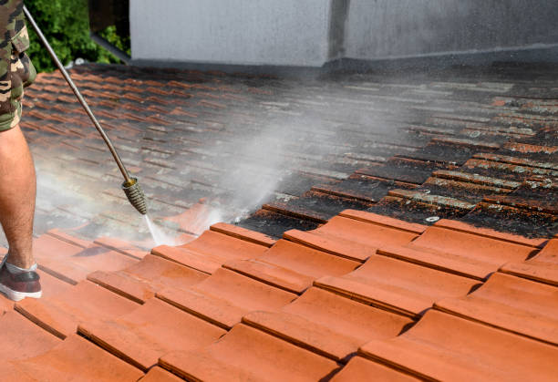 Best Affordable Pressure Washing  in Hawthorne, FL